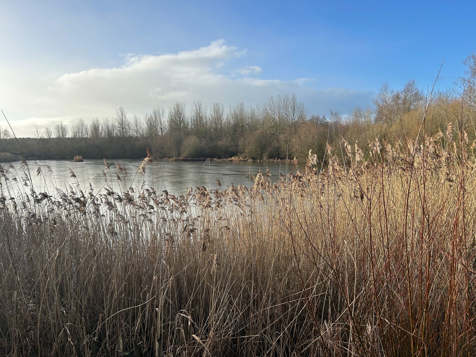Sence Valley Forest Park